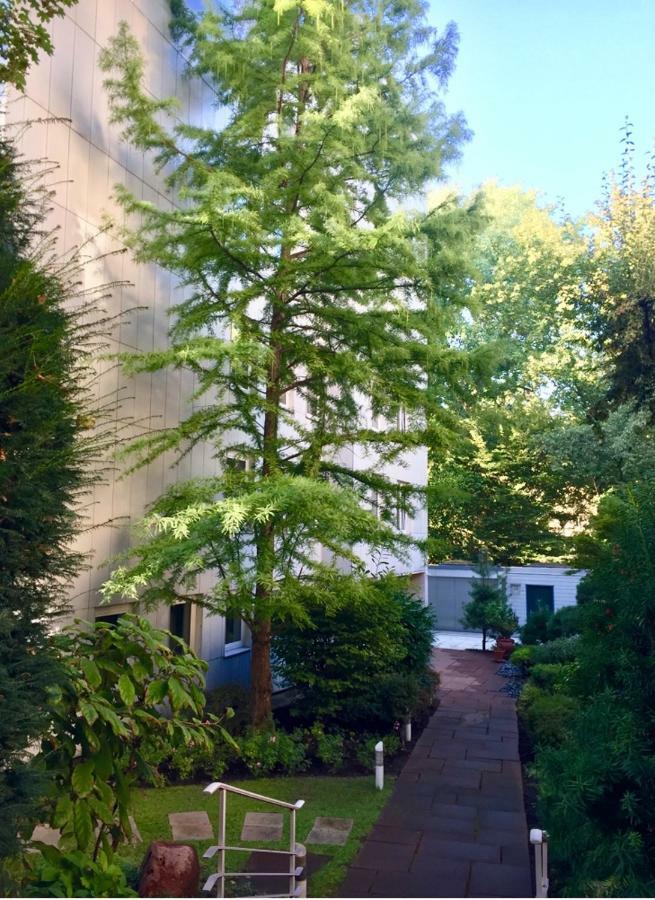 Apartment Centrum Im Gruenen Nürnberg Exteriör bild